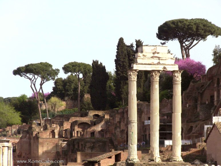 Roman Forum with RomeCabs